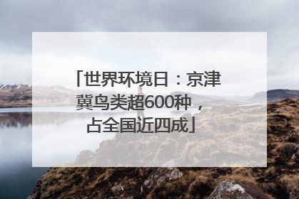 世界环境日：京津冀鸟类超600种，占全国近四成