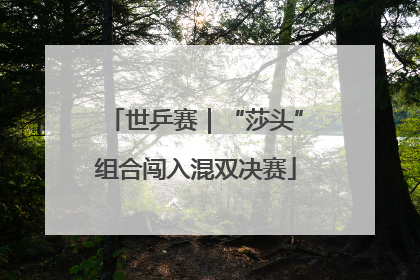 世乒赛｜“莎头”组合闯入混双决赛