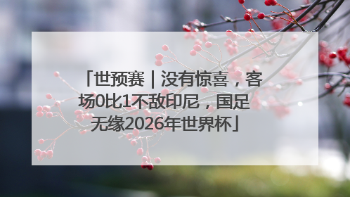 世预赛｜没有惊喜，客场0比1不敌印尼，国足无缘2026年世界杯