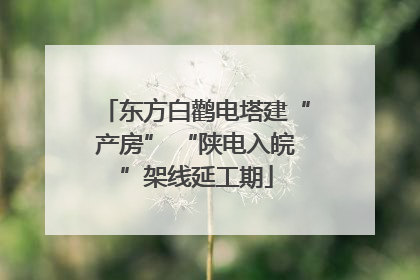 东方白鹳电塔建“产房” “陕电入皖”架线延工期