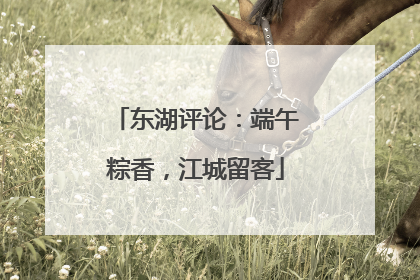 东湖评论：端午粽香，江城留客