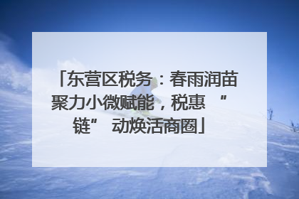 东营区税务：春雨润苗聚力小微赋能，税惠 “链” 动焕活商圈
