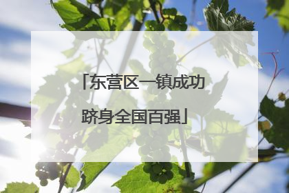 东营区一镇成功跻身全国百强