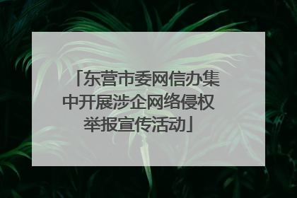 东营市委网信办集中开展涉企网络侵权举报宣传活动