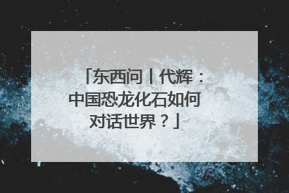 东西问丨代辉：中国恐龙化石如何对话世界？