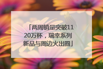 两周销量突破1120万杯，瑞幸系列新品与周边火出圈