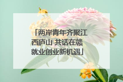 两岸青年齐聚江西庐山 共话在赣就业创业新机遇
