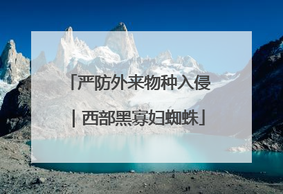 严防外来物种入侵｜西部黑寡妇蜘蛛