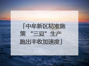 中牟新区精准施策 “三夏”生产跑出丰收加速度