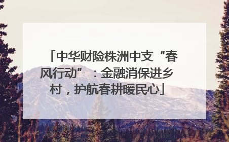 中华财险株洲中支“春风行动”：金融消保进乡村，护航春耕暖民心