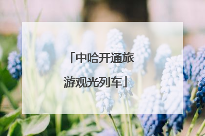 中哈开通旅游观光列车
