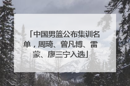 中国男篮公布集训名单，周琦、曾凡博、雷蒙、廖三宁入选