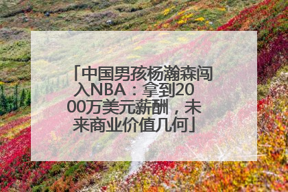 中国男孩杨瀚森闯入NBA：拿到2000万美元薪酬，未来商业价值几何