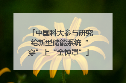 中国科大参与研究 给新型储能系统“穿”上“金钟罩”