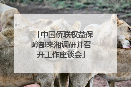 中国侨联权益保障部来湘调研并召开工作座谈会