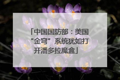 中国国防部：美国“金穹”系统犹如打开潘多拉魔盒