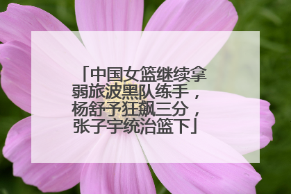 中国女篮继续拿弱旅波黑队练手，杨舒予狂飙三分，张子宇统治篮下