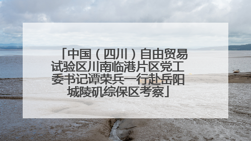 中国（四川）自由贸易试验区川南临港片区党工委书记谭荣兵一行赴岳阳城陵矶综保区考察