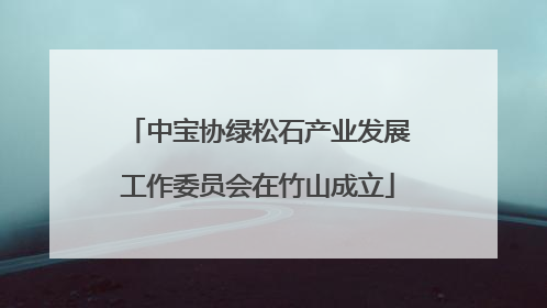 中宝协绿松石产业发展工作委员会在竹山成立