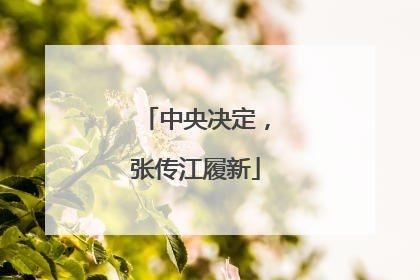 中央决定，张传江履新