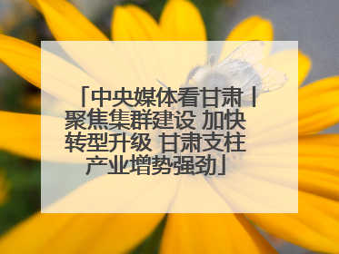 中央媒体看甘肃丨聚焦集群建设 加快转型升级 甘肃支柱产业增势强劲