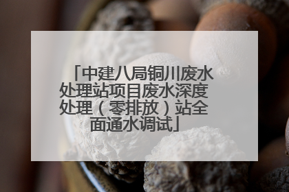 中建八局铜川废水处理站项目废水深度处理（零排放）站全面通水调试