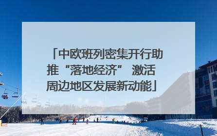 中欧班列密集开行助推“落地经济” 激活周边地区发展新动能