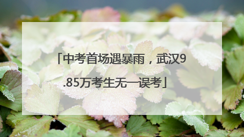 中考首场遇暴雨，武汉9.85万考生无一误考
