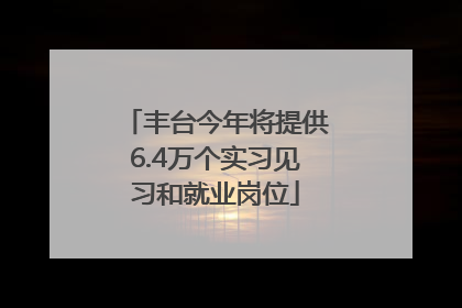 丰台今年将提供6.4万个实习见习和就业岗位
