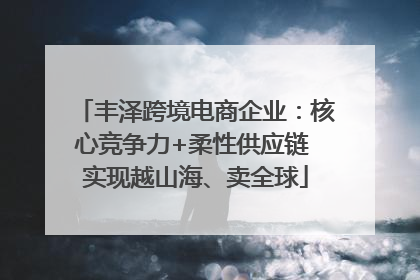 丰泽跨境电商企业：核心竞争力+柔性供应链 实现越山海、卖全球
