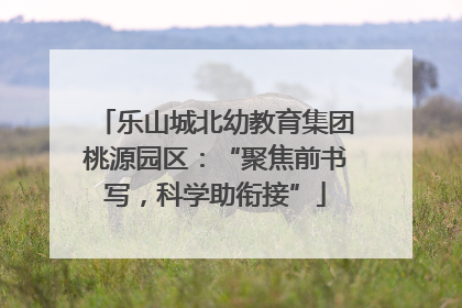 乐山城北幼教育集团桃源园区：“聚焦前书写，科学助衔接”