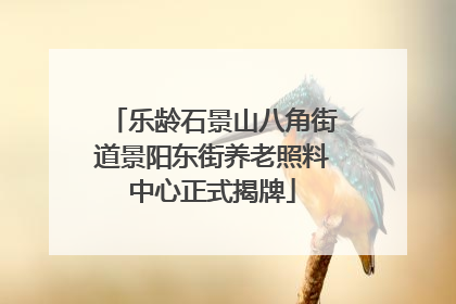 乐龄石景山八角街道景阳东街养老照料中心正式揭牌