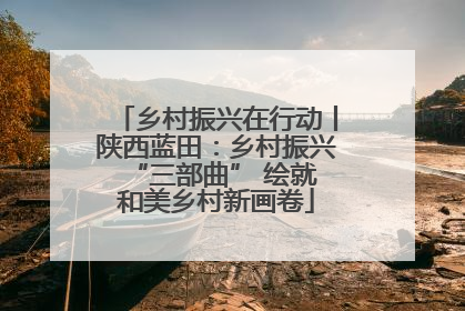 乡村振兴在行动丨陕西蓝田：乡村振兴 “三部曲” 绘就和美乡村新画卷