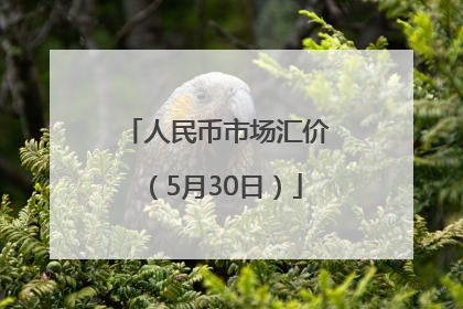人民币市场汇价（5月30日）