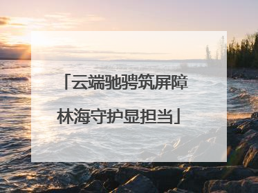 云端驰骋筑屏障 林海守护显担当