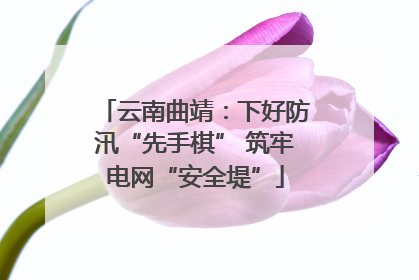 云南曲靖：下好防汛“先手棋” 筑牢电网“安全堤”
