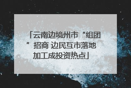 云南边境州市“组团”招商 边民互市落地加工成投资热点