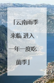 云南雨季来临 进入一年一度吃菌季