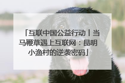 互联中国公益行动丨当马鞭草遇上互联网：昆明小渔村的逆袭密码