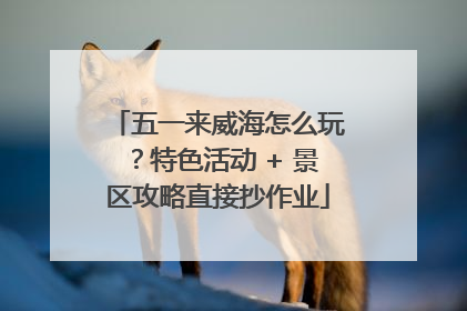 五一来威海怎么玩？特色活动 + 景区攻略直接抄作业