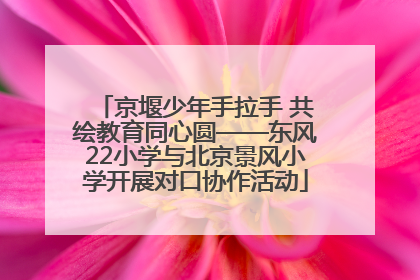 京堰少年手拉手 共绘教育同心圆——东风22小学与北京景风小学开展对口协作活动