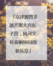 京津冀晋非遗齐聚大兴长子营，凤河文化奏响协同创新乐章