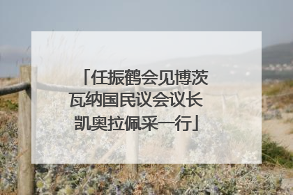 任振鹤会见博茨瓦纳国民议会议长凯奥拉佩采一行