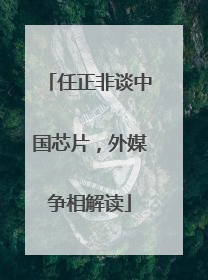 任正非谈中国芯片，外媒争相解读