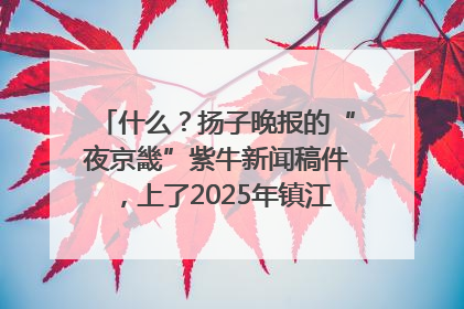 什么？扬子晚报的“夜京畿”紫牛新闻稿件，上了2025年镇江中考模拟卷！