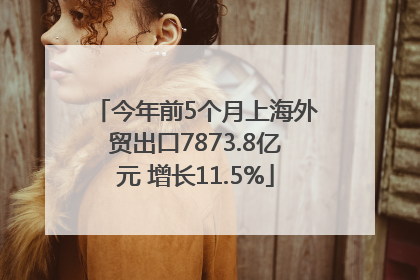 今年前5个月上海外贸出口7873.8亿元 增长11.5%