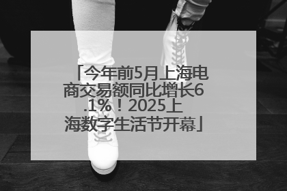 今年前5月上海电商交易额同比增长6.1%！2025上海数字生活节开幕