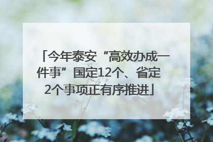 今年泰安“高效办成一件事”国定12个、省定2个事项正有序推进