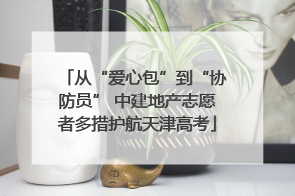 从“爱心包”到“协防员” 中建地产志愿者多措护航天津高考