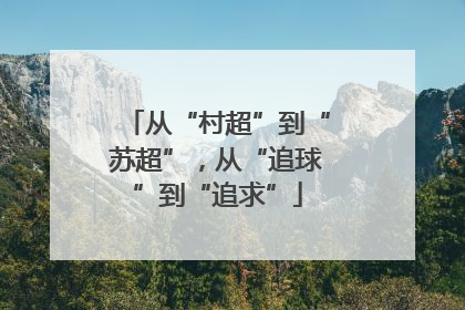 从“村超”到“苏超”，从“追球”到“追求”
